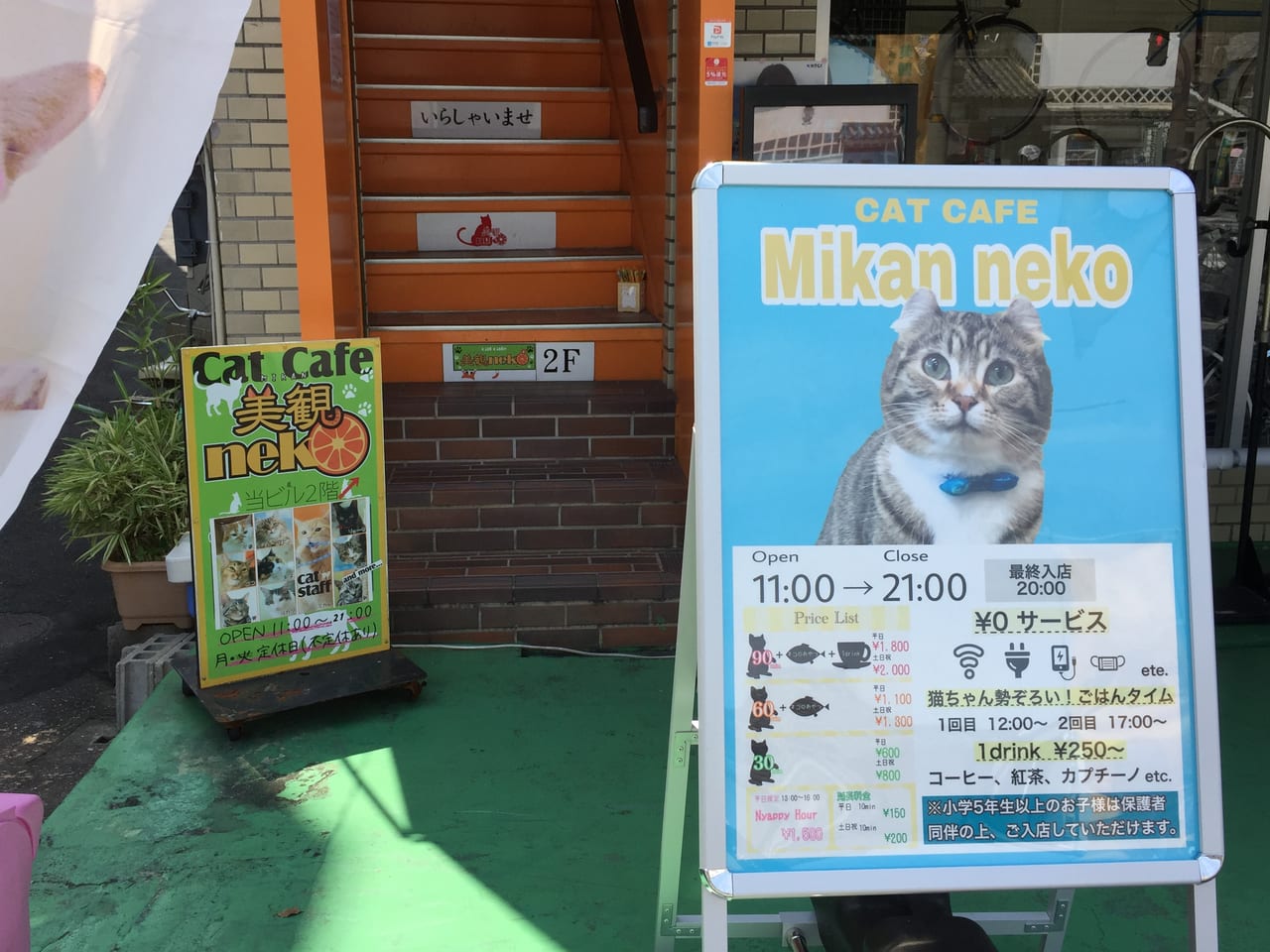 倉敷市 里親募集もしているという 猫カフェ 美観neko みかんねこ に行ってみたら 号外net 倉敷市