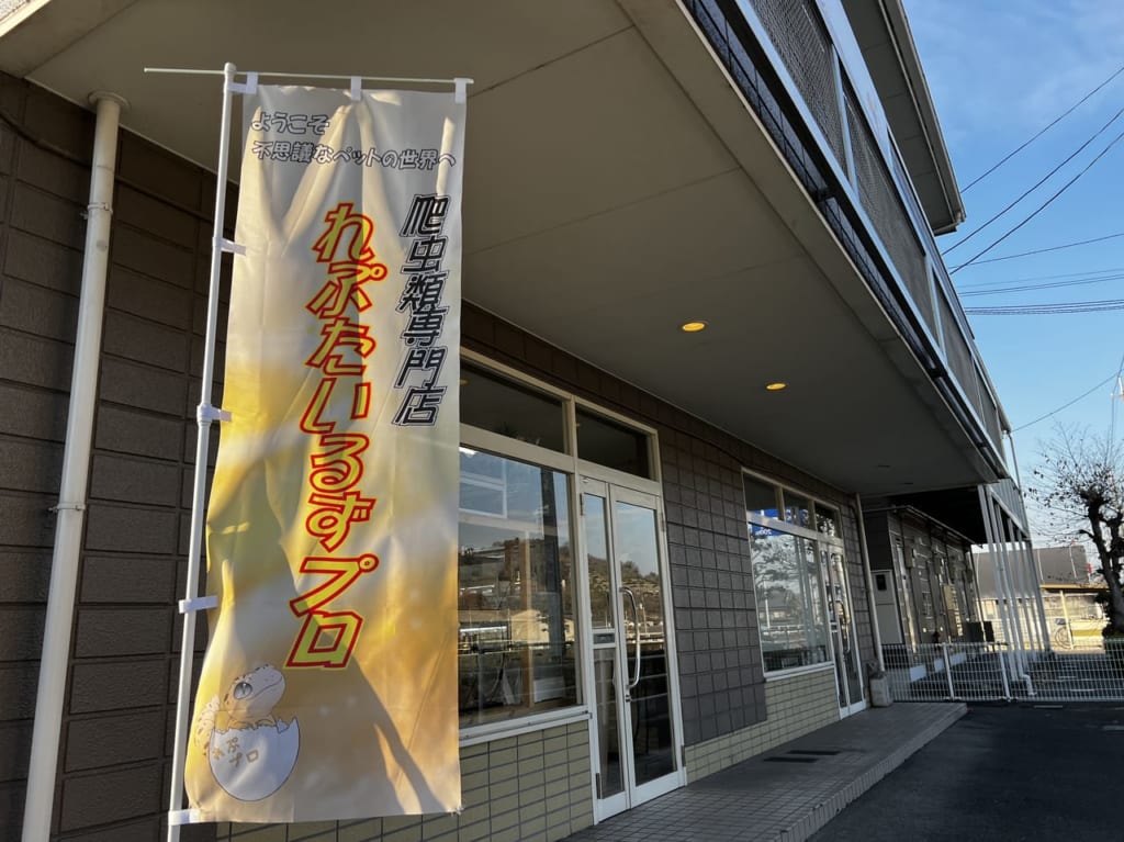 れぷたいるずプロ