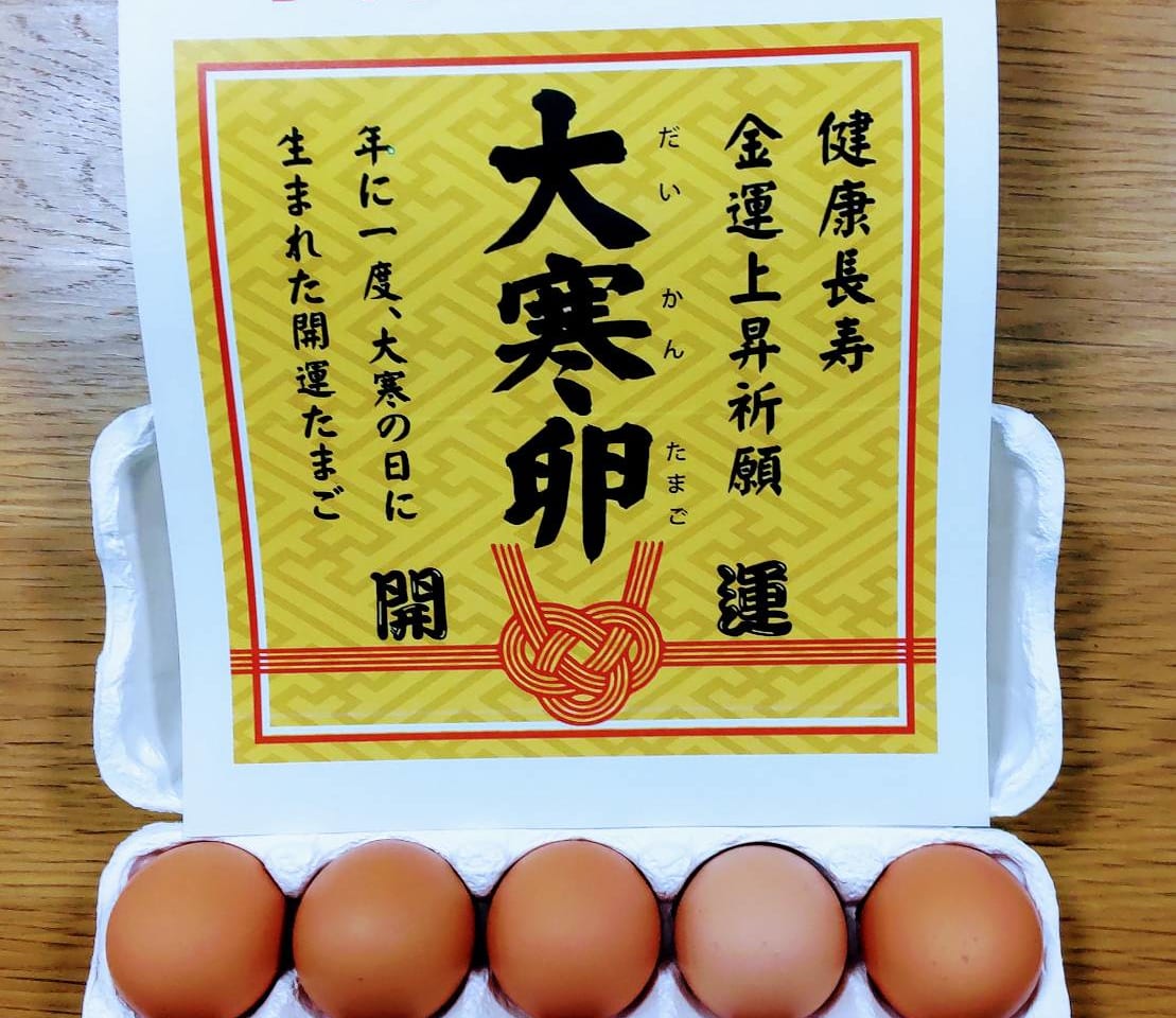 阪本鶏卵大寒卵