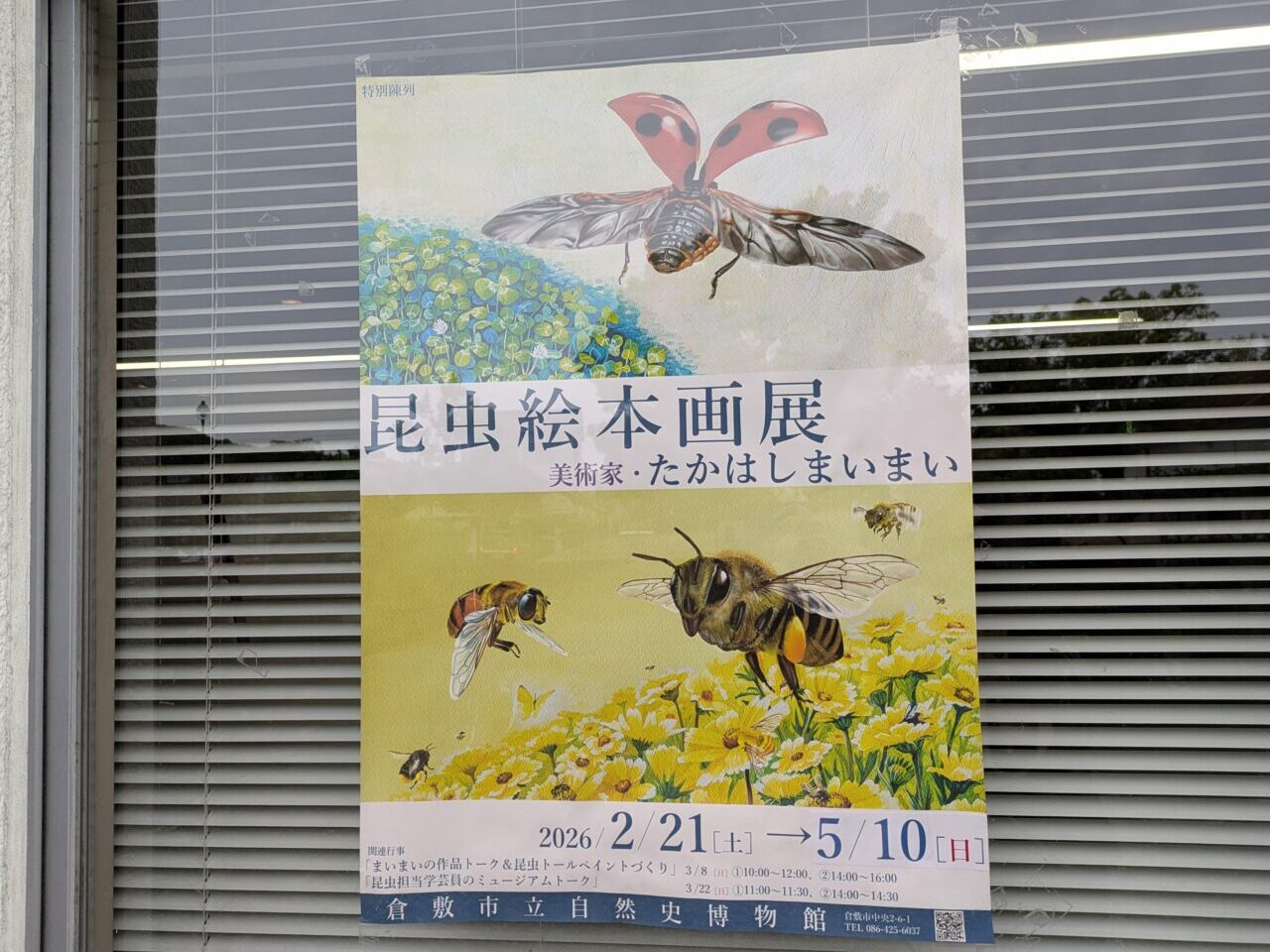 たかはしまいまい昆虫絵本画展